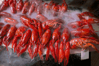 小龍蝦vs火鍋，誰(shuí)才是餐飲界扛把子？