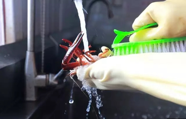 小龍蝦vs火鍋，誰(shuí)才是餐飲界扛把子？